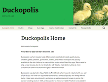 Tablet Screenshot of duckopolis.com